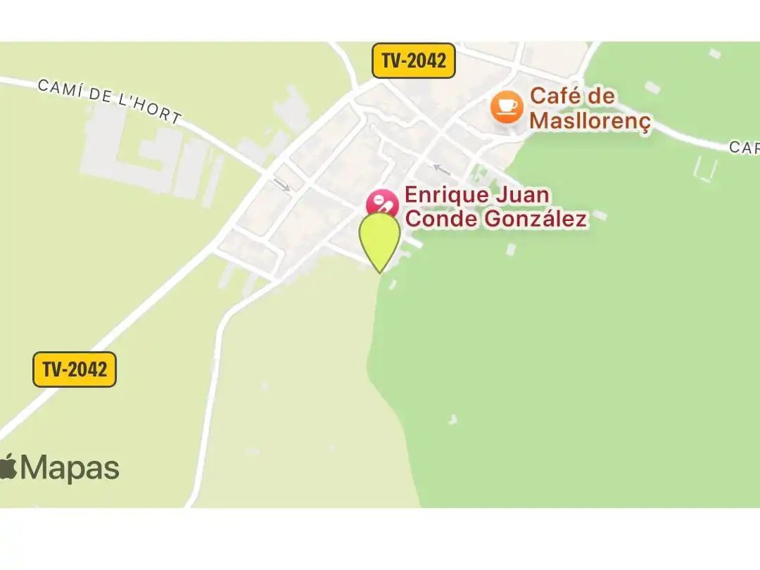 Rustikales Grundstück zum Verkauf in Cami Pedrera 4, imagen 16
