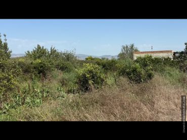 Terrenys i solars en venda a Playa - Ben Afeli