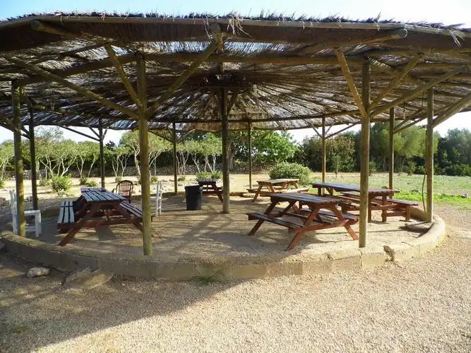 Casa rústica amb piscina en venda a Manacor Centre, imagen 4