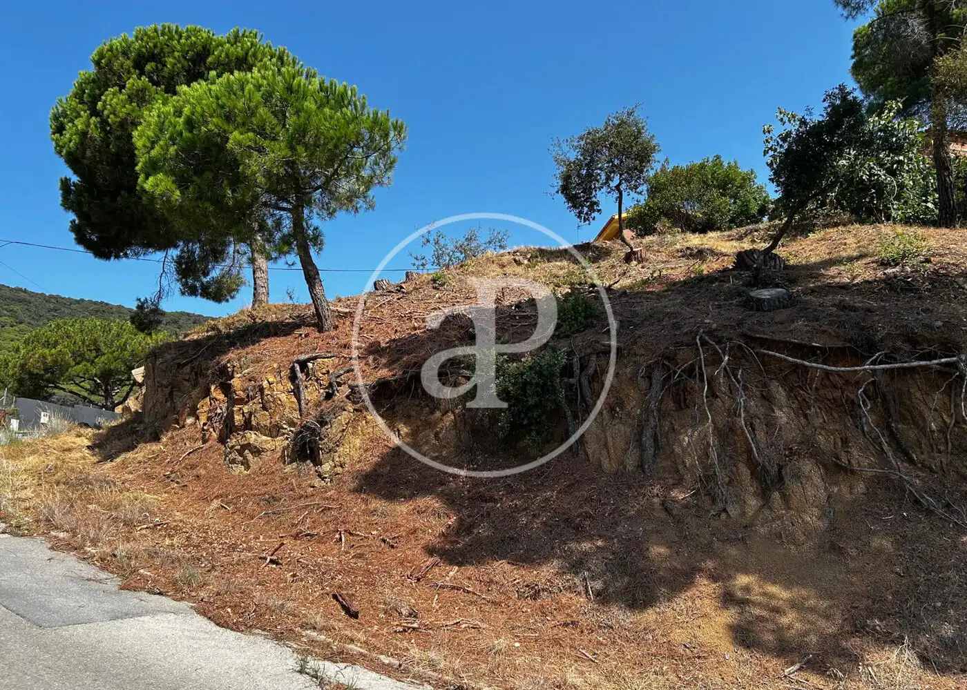 Terreny residencial en venda a Carrer Segarra, imagen 7
