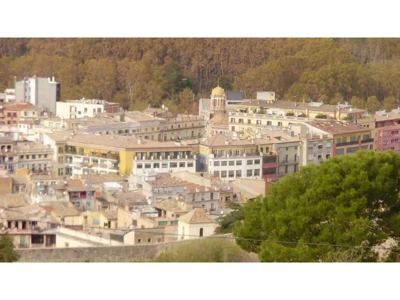 Terrain rustique à vendre à Calle passeig olot, imagen 6
