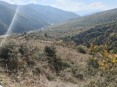 Grundstücke zum verkauf in Aisa