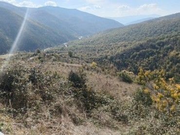 Terreno rústico en venta en el solano