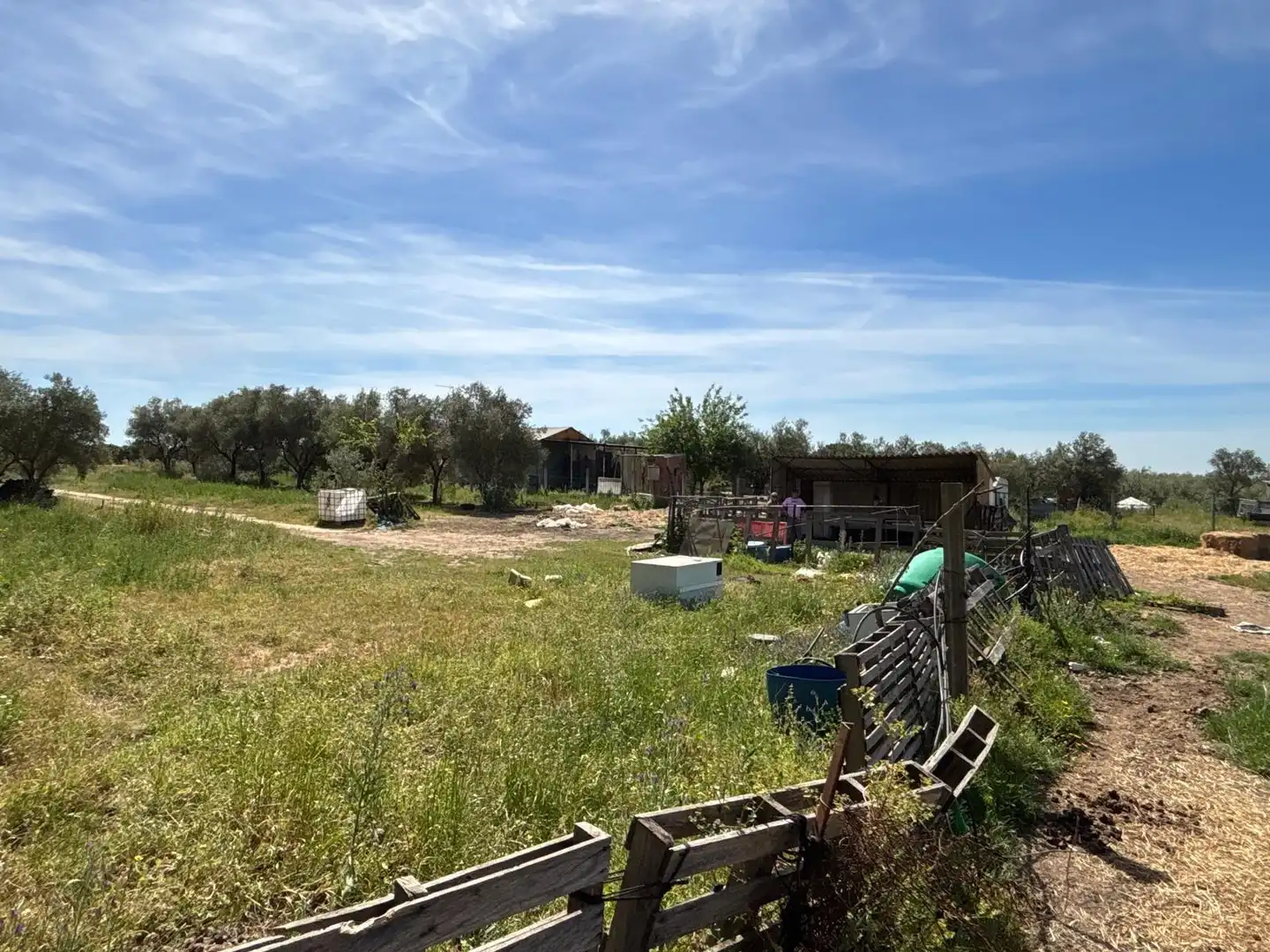 Terreni e lotti in vendita a Polígono Polígono 14 Paraje 87 LOS MONTES, imagen 16