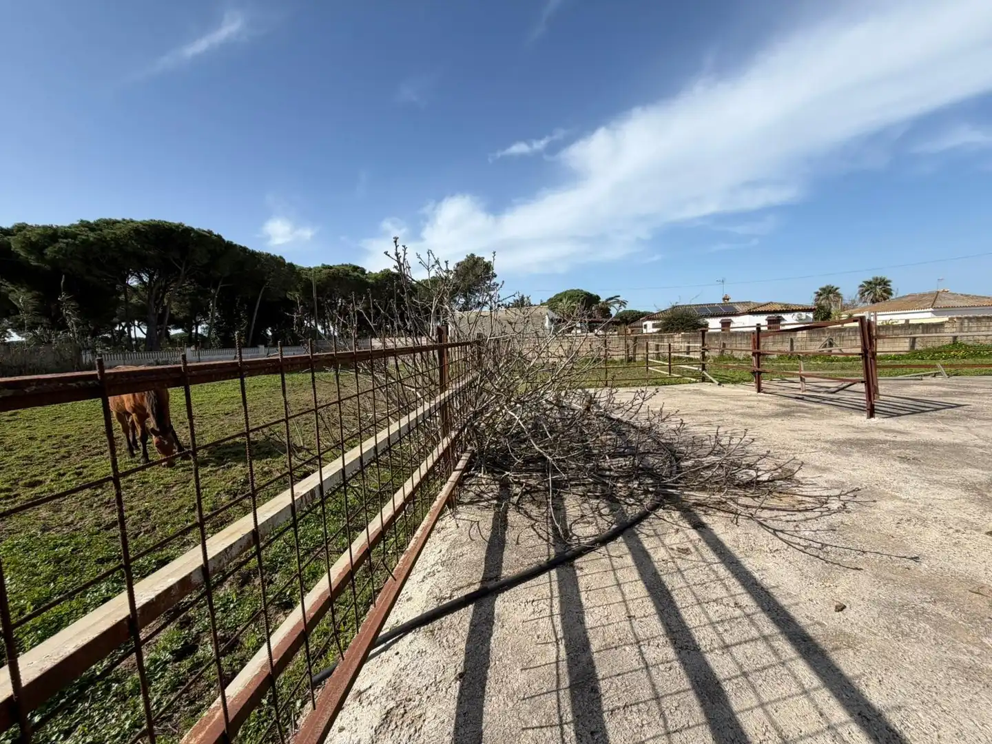 Casa rústica en venda a Las Lagunas - Campano, imagen 21