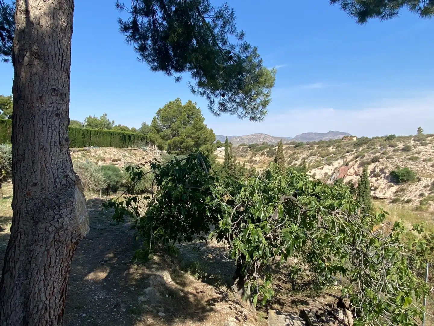 Casa o xalet en venda en Petrer amb Aire condicionat, Terrassa i Piscina