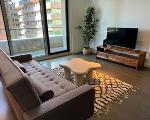 Living room of Flat to rent in  Madrid Capital  with Heating, Terrace and Furnished