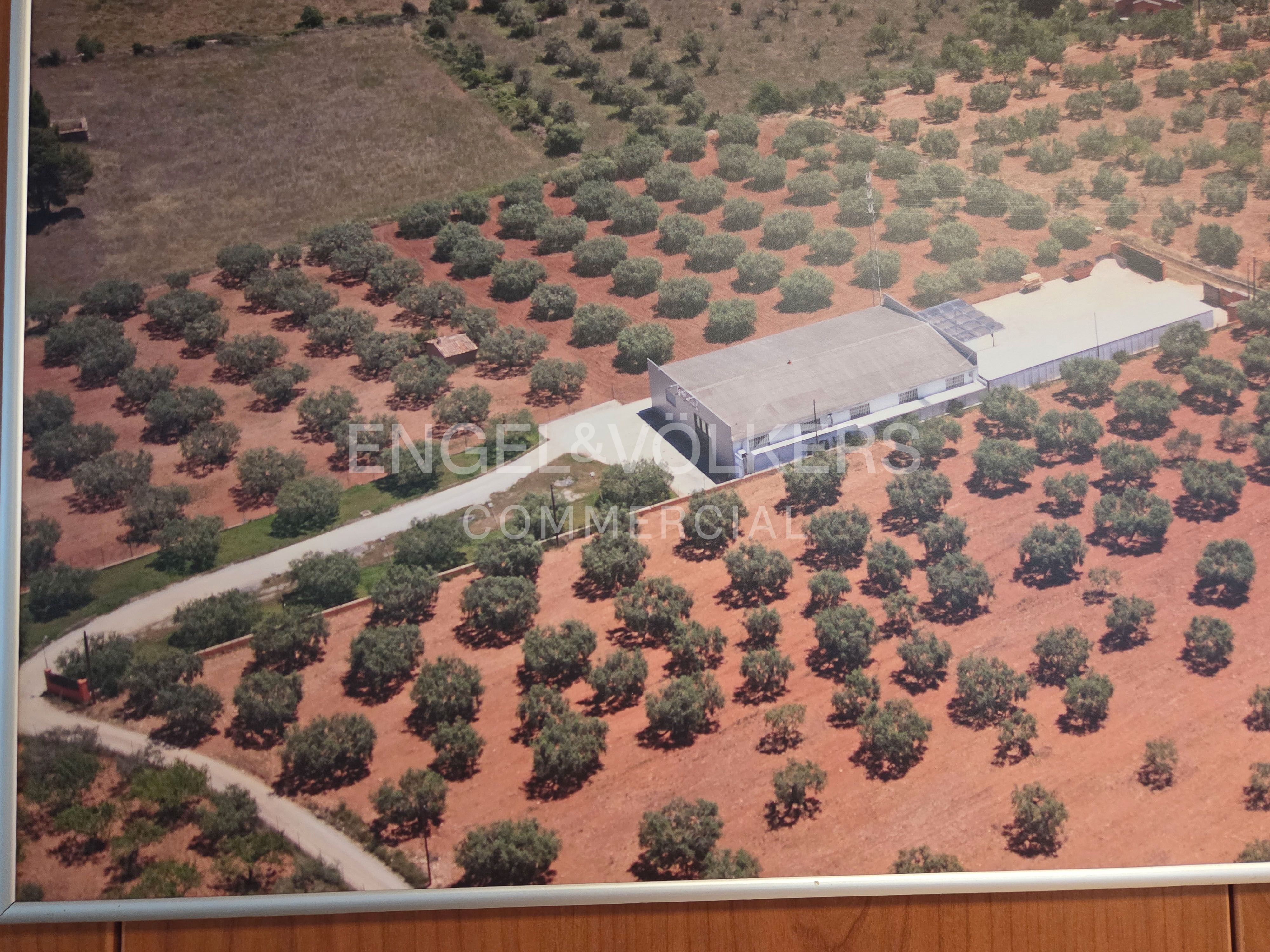 Nau industrial en venda en Sant Quintí de Mediona