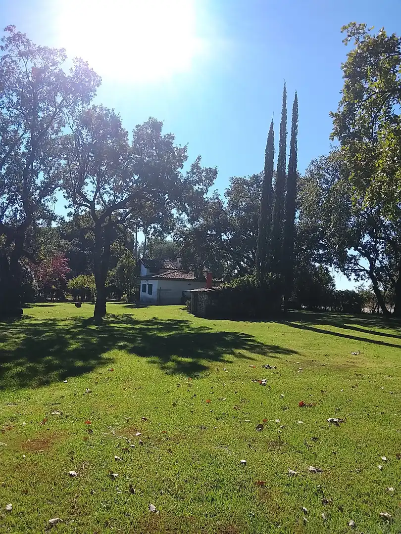 Haus mit Garten zum Verkauf in Madrigal de la Vera, imagen 96