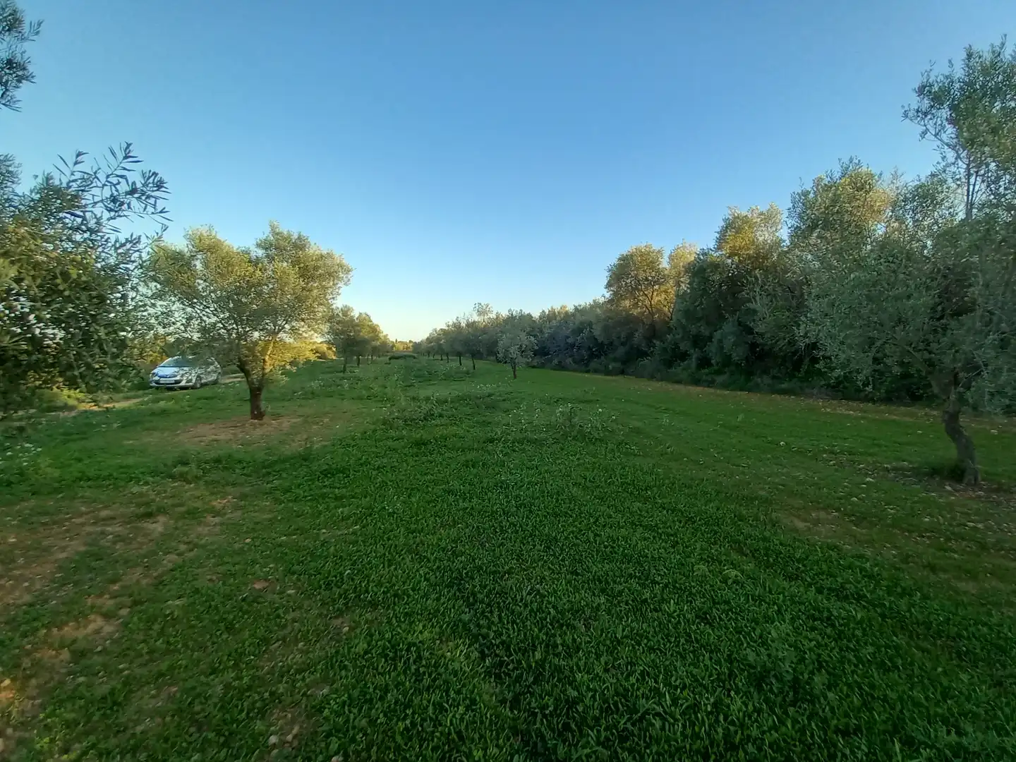Terreny rústic en venda a Càlig, imagen 10