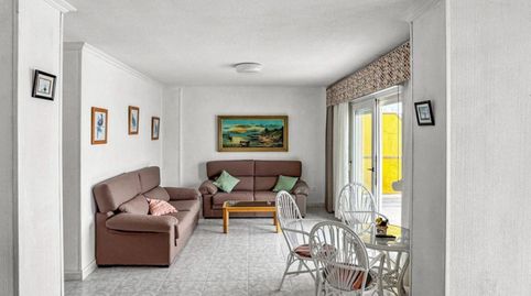 TorreviejaApartamento, imatge 5