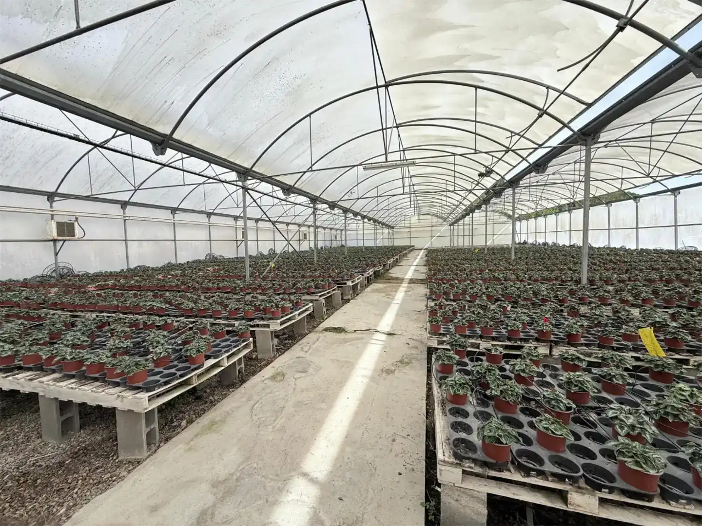 Jardín de Piso en venta en Canet de Mar