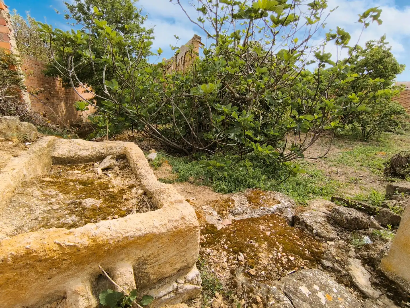 Jardí de Casa o xalet en venda en Pedraza de Campos amb Calefacció, Jardí privat i Traster