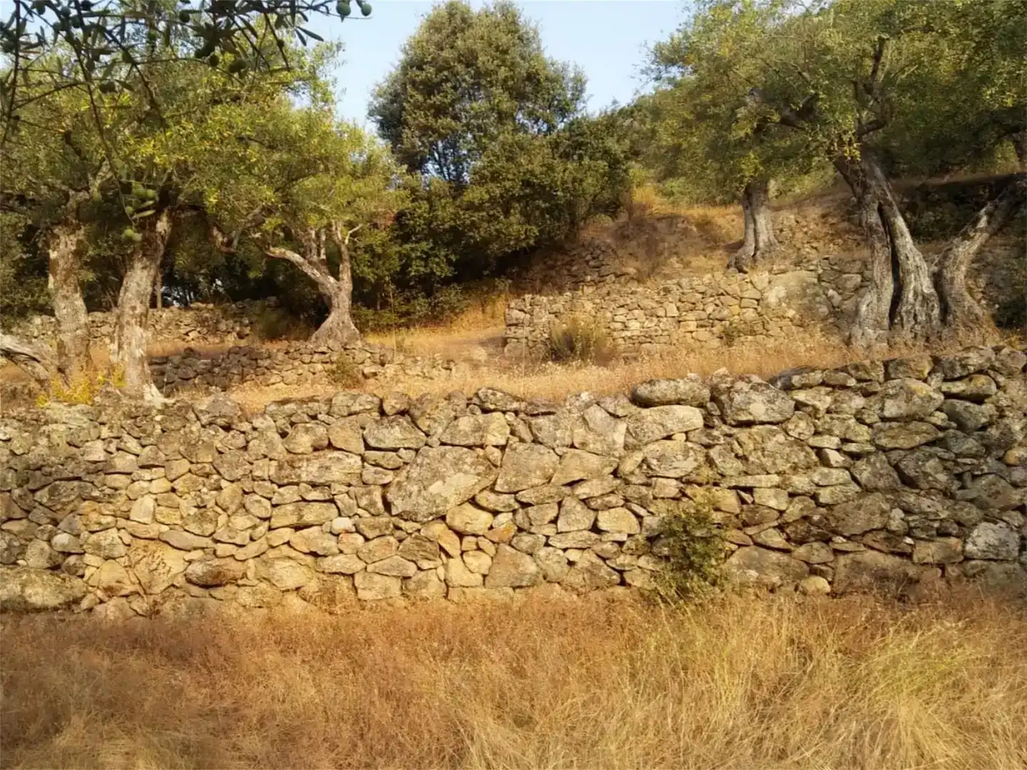 Terreno en venta en Pedro Bernardo