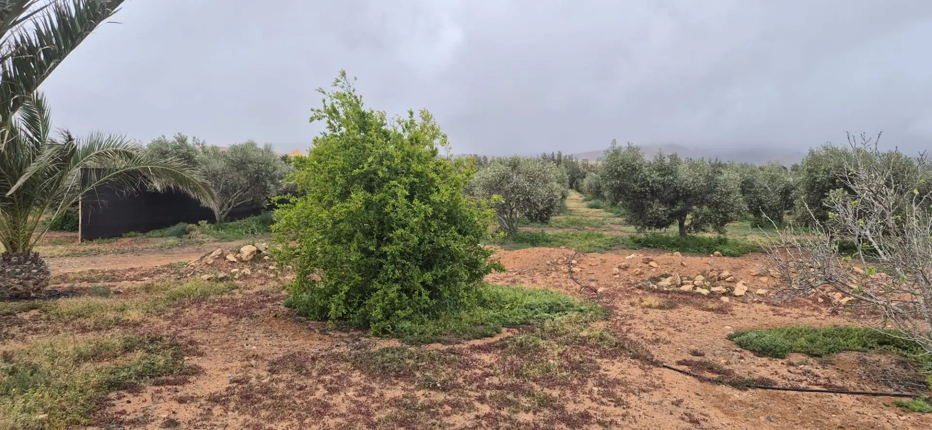 Terreno en venta en Antigua