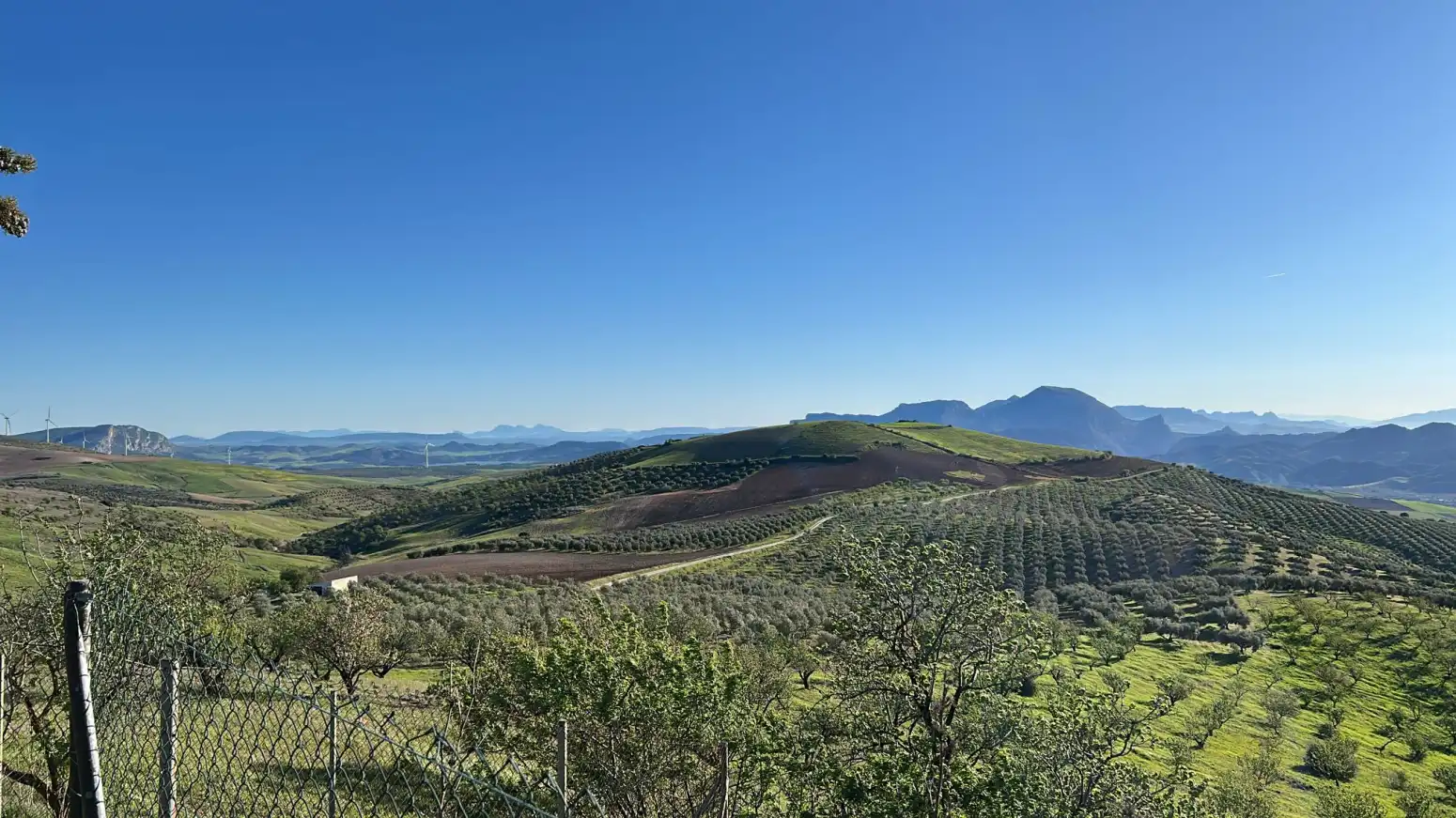 Houses for sale in Ardales