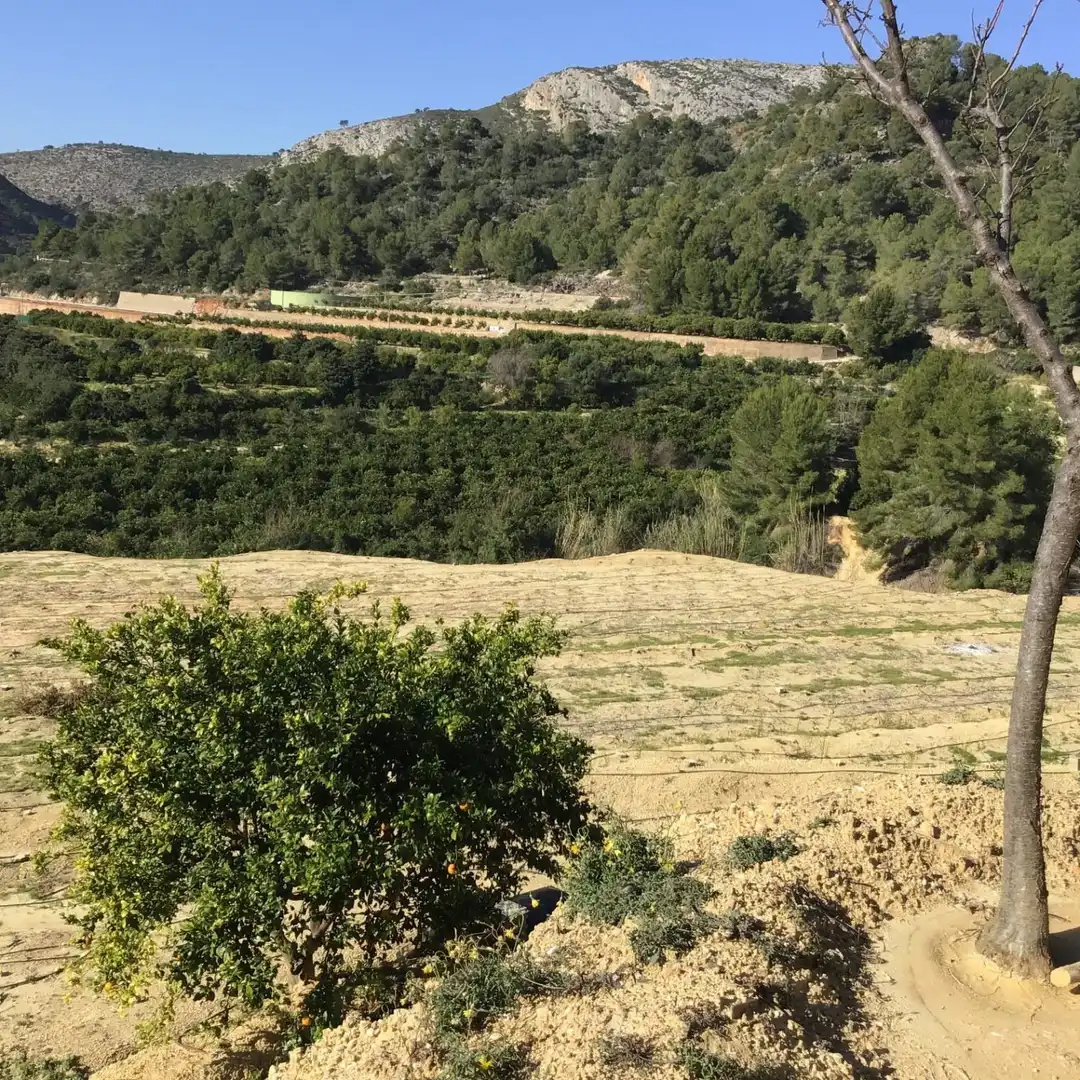 Terreno residencial en venta en Ador, imagen 12