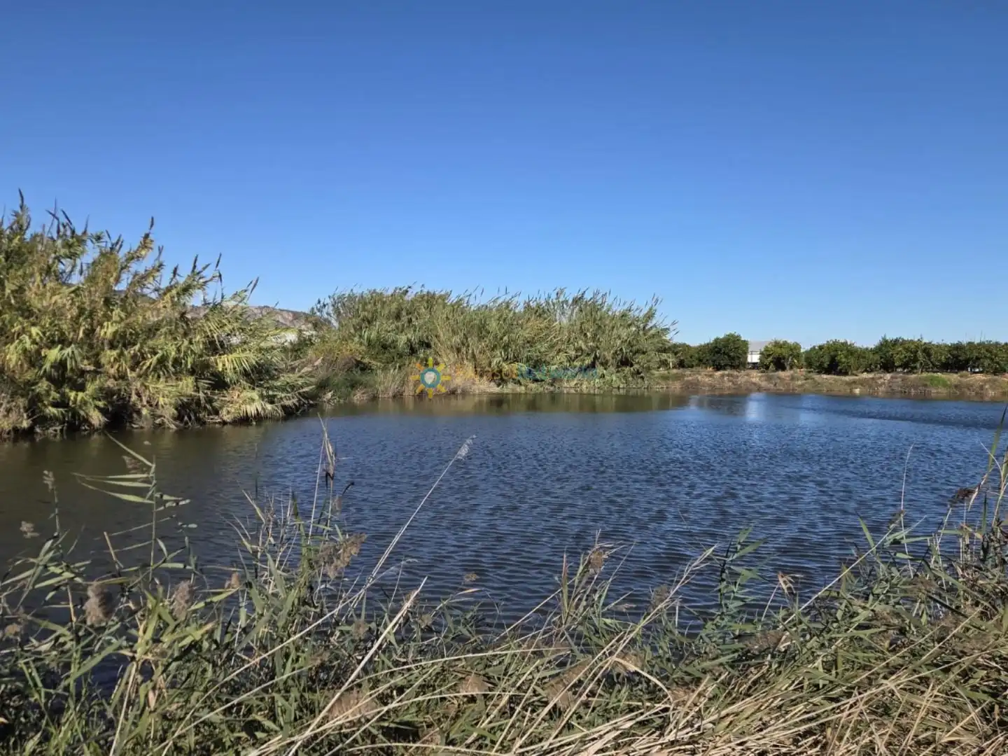 Finca rústica en venta en Xeraco con Jardín privado y Terraza