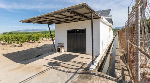 Finca Rústica en Venta  Vega Norte de Granada, imatge 4