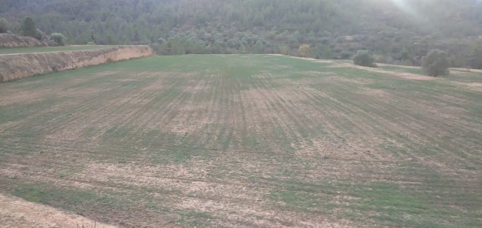 Terreno en venta en La Torre de l'Espanyol