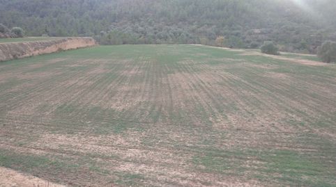 Foto 3 de Terreno en venta en La Torre de l'Espanyol, Tarragona