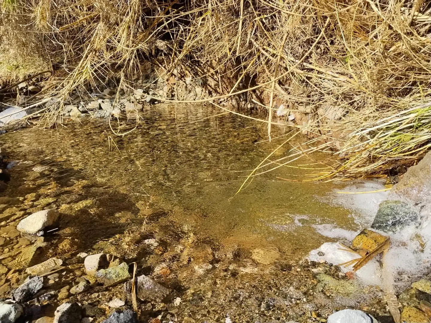 Casa rústica amb piscina en venda a DE LAS VIÑAS, imagen 40