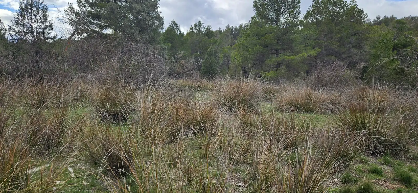Terreno en venta en Las Parras de Castellote