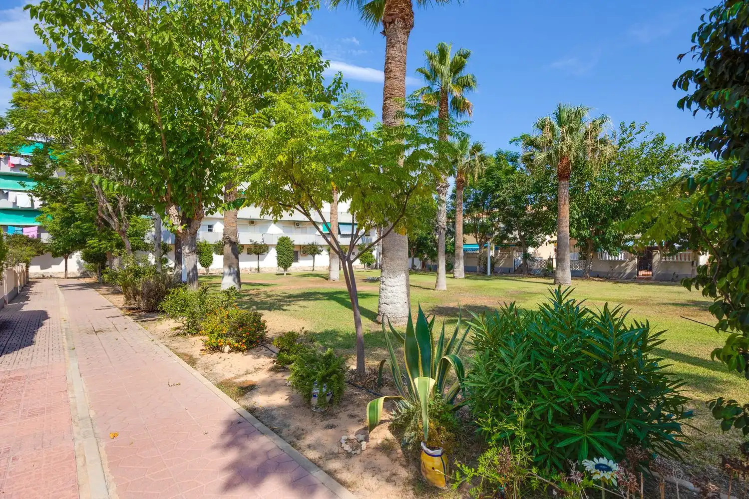 Vista exterior de Pis en venda en Orihuela amb Aire condicionat, Calefacció i Terrassa