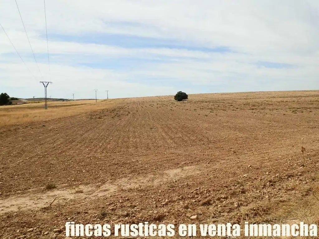 Terreni e lotti in vendita a San Pablo, imagen 15