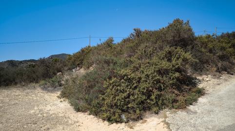 Photo 4 of Land for sale in Perín, Murcia