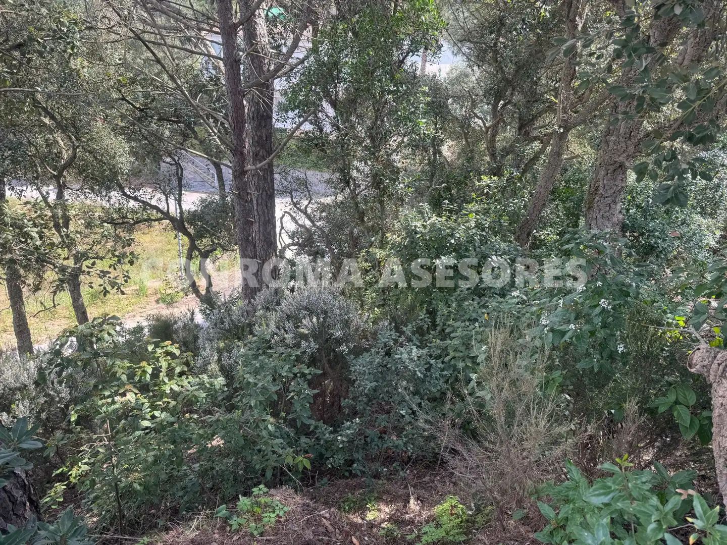 Residential land for sale in Serra Brava, imagen 9