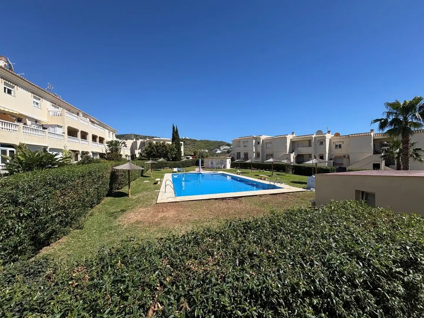 Piscina de Apartament de lloguer en Torrox amb Terrassa i Piscina comunitària