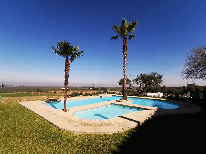 Swimming pool of Country homes for sale in Alcalá de Guadaira  with Air Conditioner, Heating and Private garden