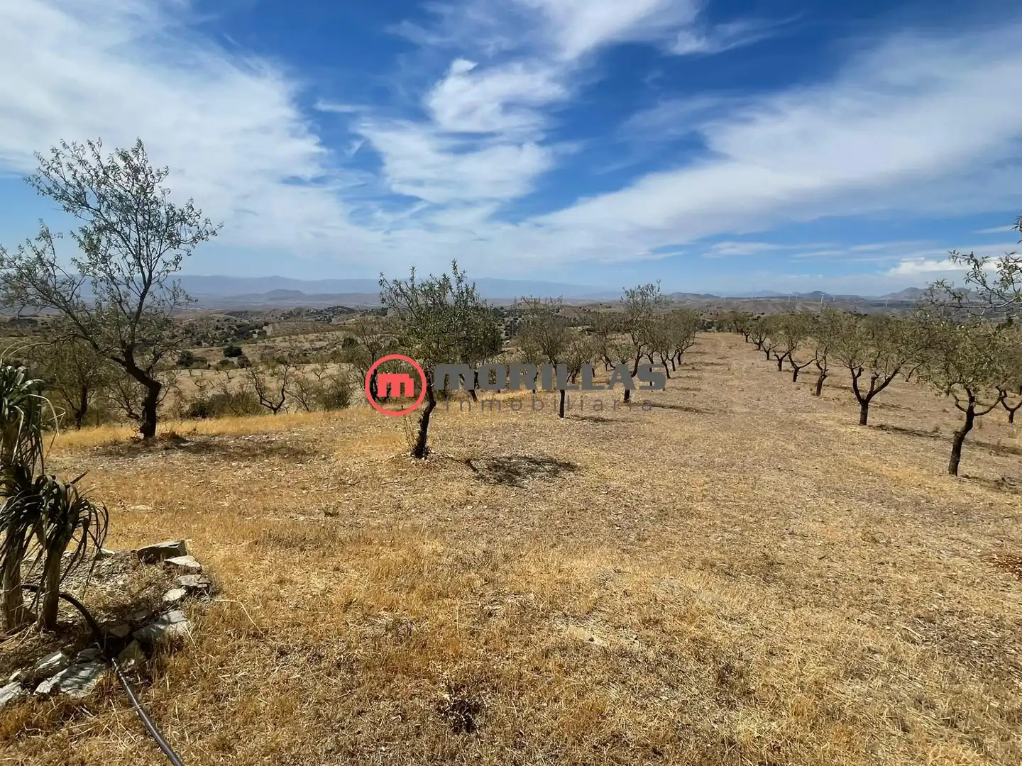 Casa con jardín en venta en Calle de Huércal-Overa 2, imagen 32