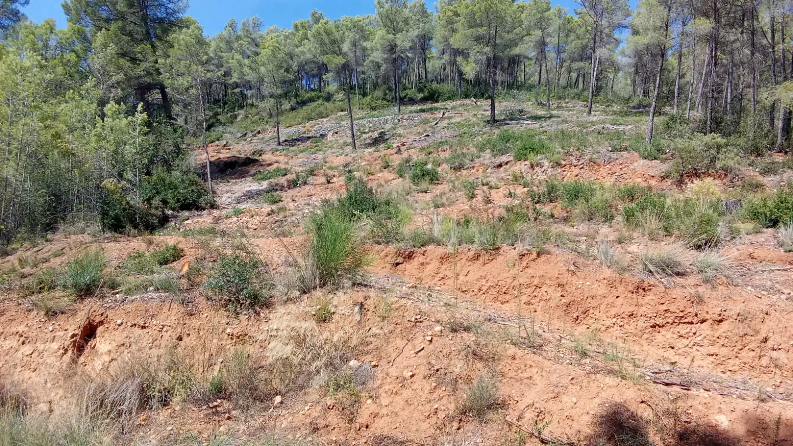 Terreny residencial en venda a Carrer d'en Joaquim Ruyra, imagen 3