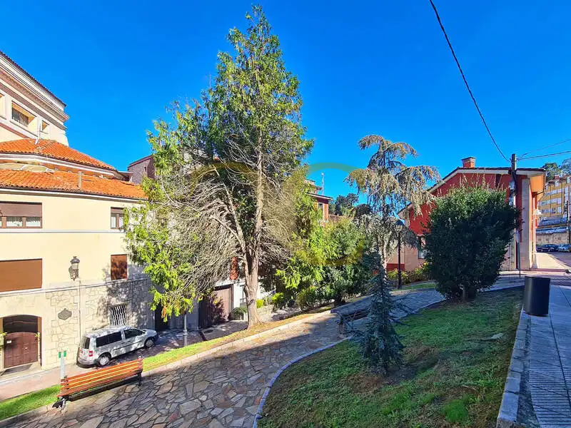 Appartamento con ascensore in vendita a Calle Alfonso Covián, imagen 39