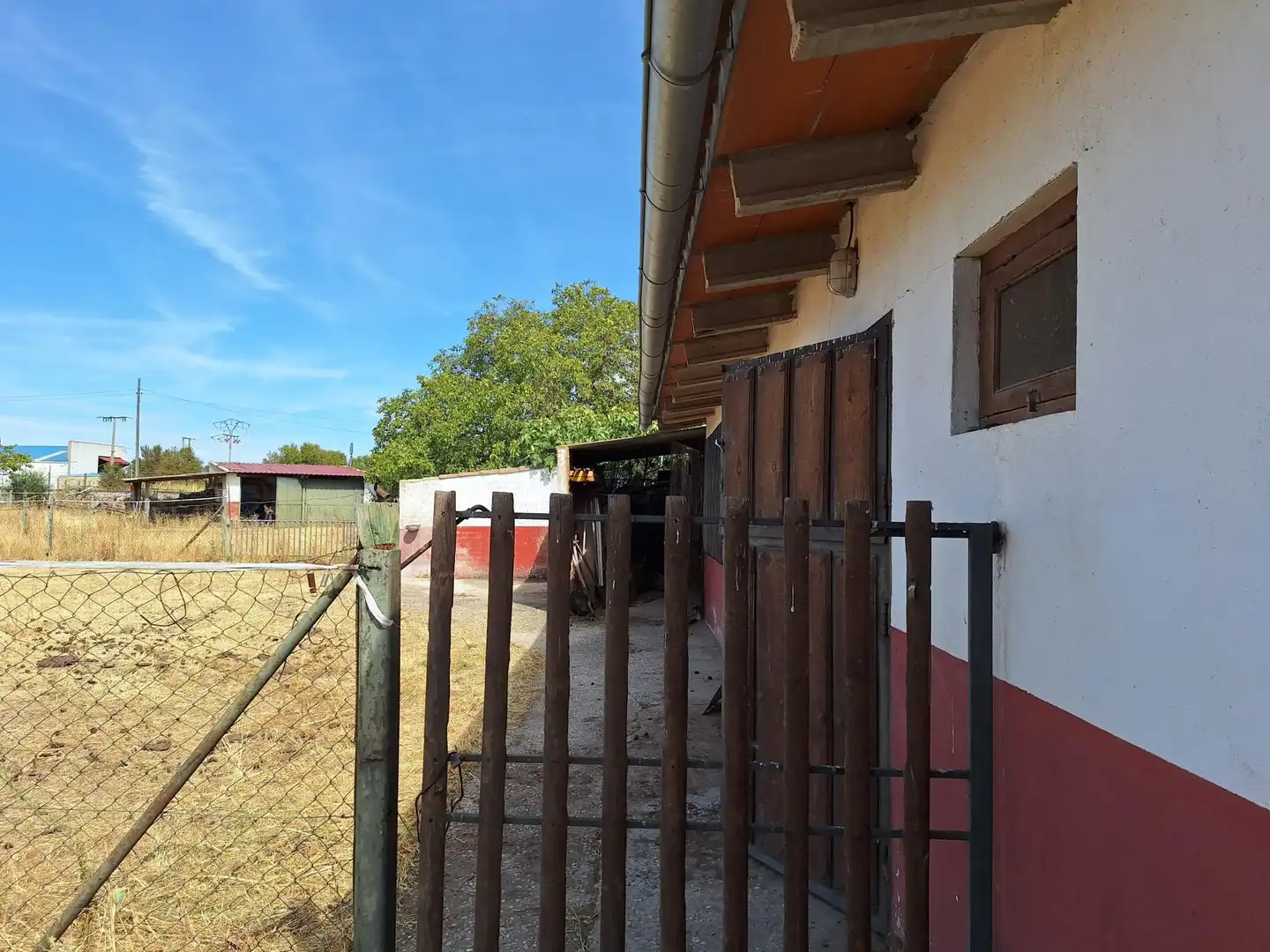 Vista exterior de Finca rústica en venta en Peñaranda de Bracamonte
