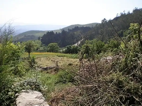 Maison avec jardin à vendre à A Cañiza, imagen 4