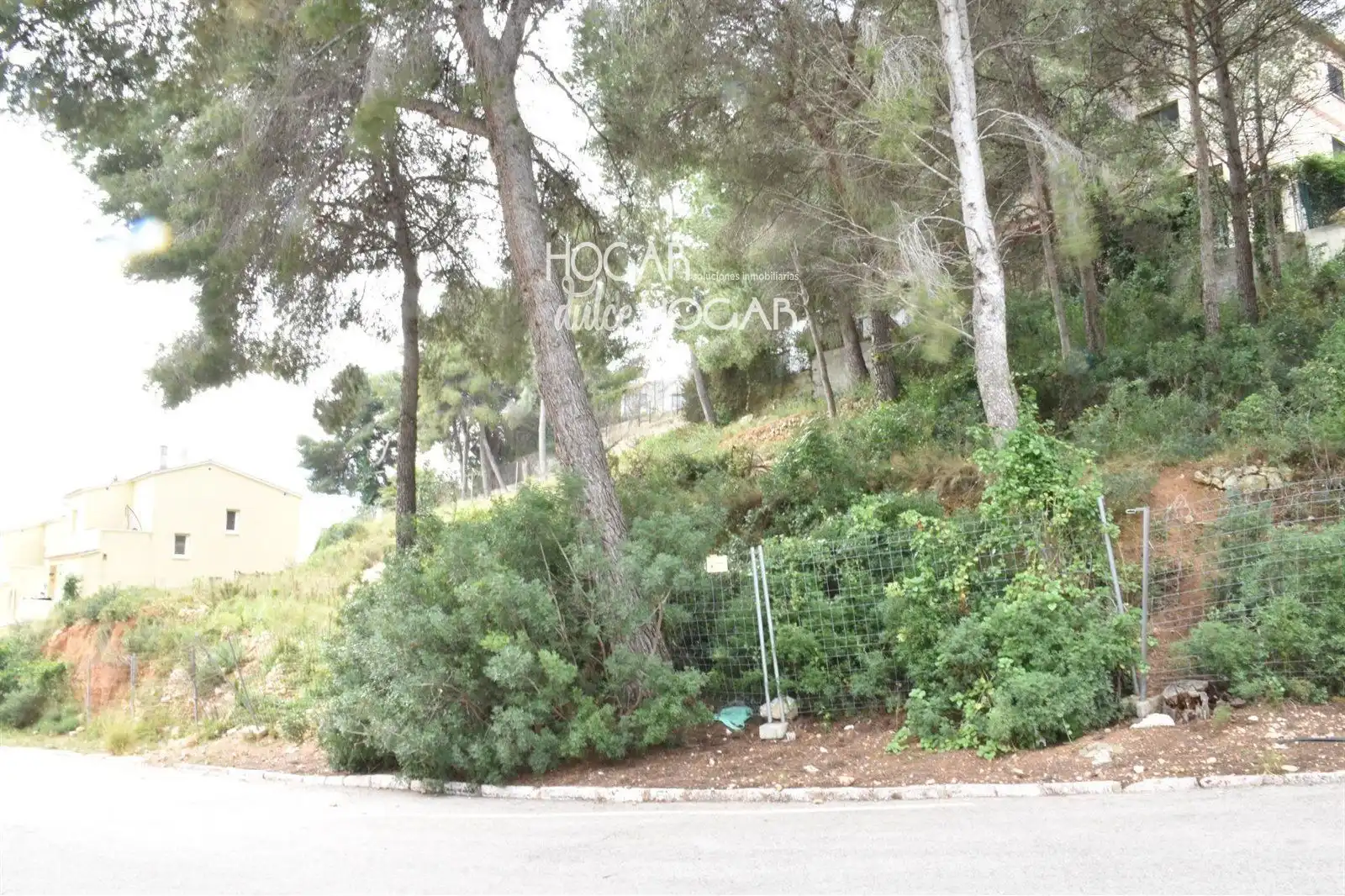 Rural land for sale in GLADIOL, imagen 13