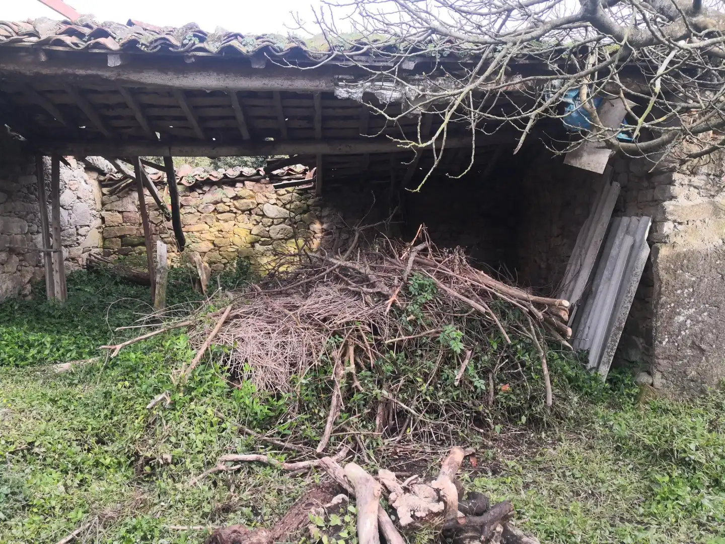 Casa o chalet en venta en Carballo con Jardín privado
