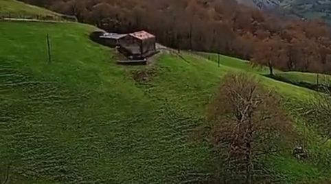 Immagine 5 dell'annuncio