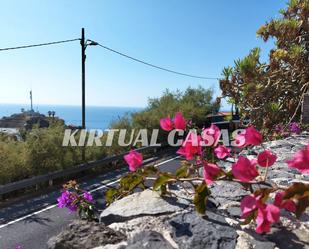 Exterior view of House or chalet for sale in Los Realejos  with Private garden, Parquet flooring and Terrace