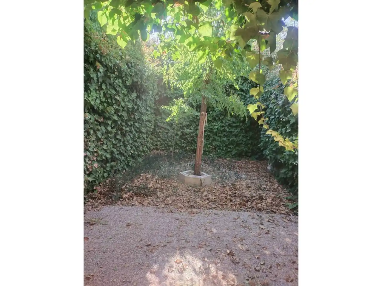 Garden of Houses for sale in Daimiel  with Air Conditioner, Heating and Private garden
