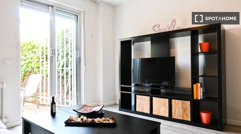 Photo 3 of Study to share in Alameda de Osuna, Madrid