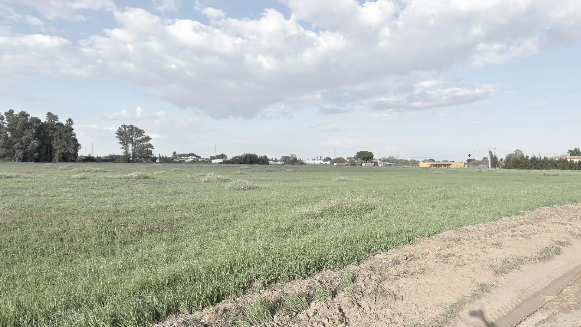 Terrenos y solares en venta en Gibraleón, imagen 6