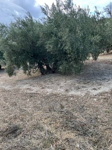 Terreno en Venta en Almedinilla