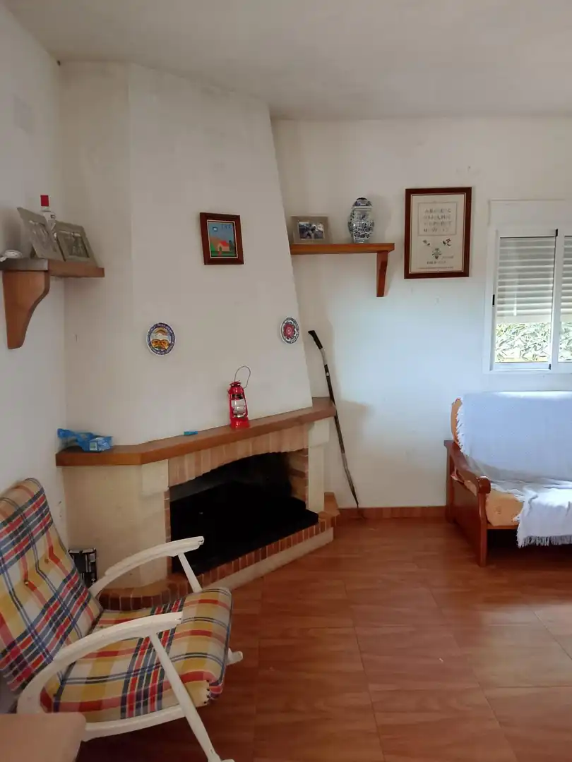 Sala de estar de Finca rústica en venta en Daya Nueva