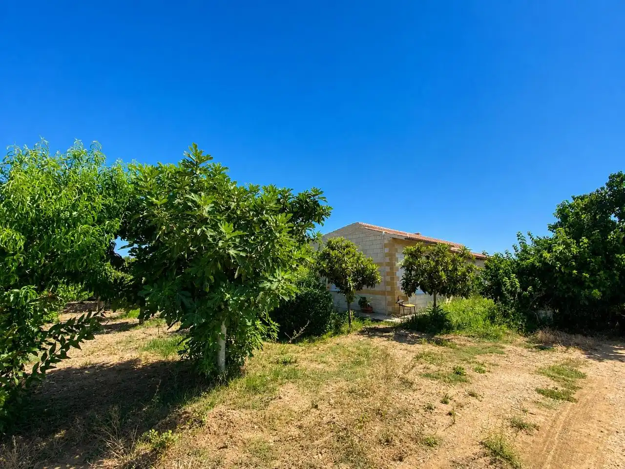 Finca rústica en venta en Arroyo de San Serván