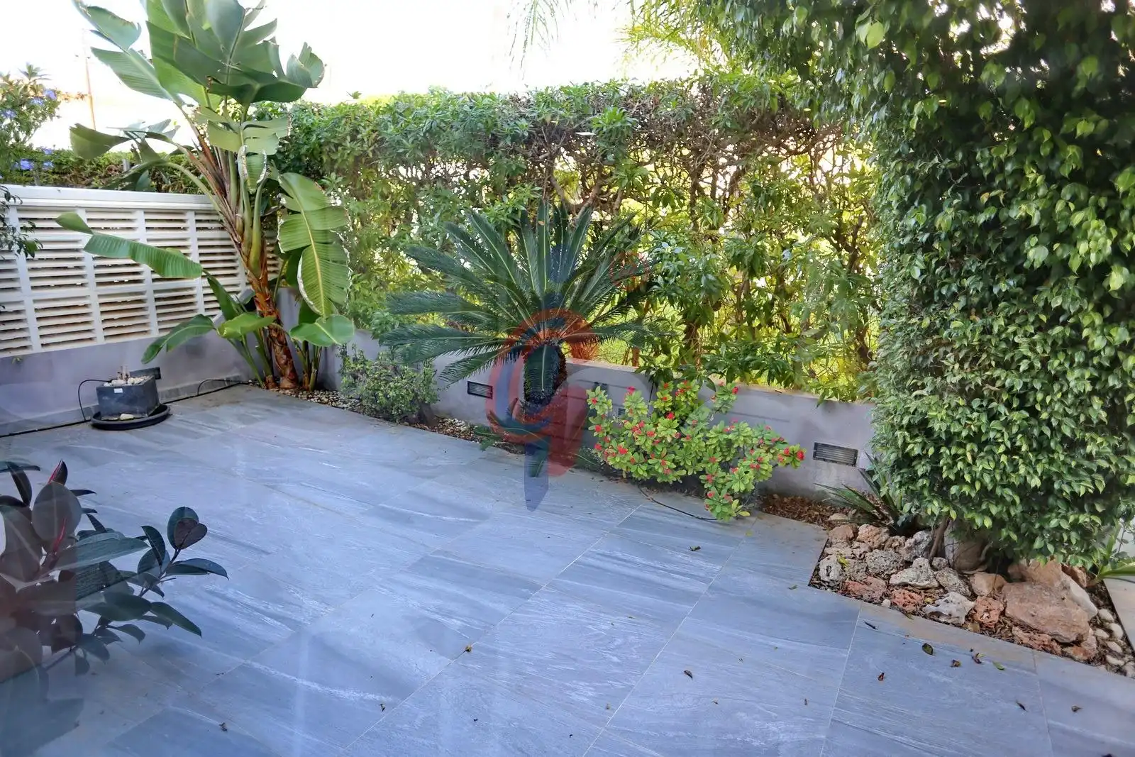 Jardín de Casa o chalet en venta en Guardamar del Segura con Aire acondicionado, Jardín privado y Terraza
