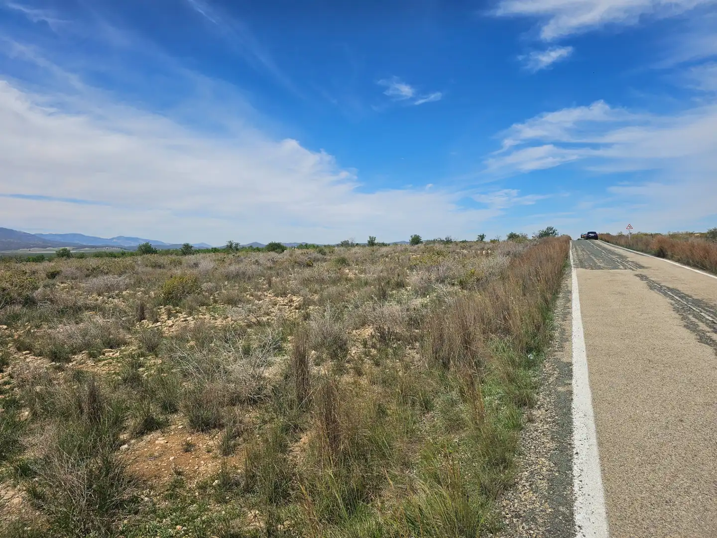 Lands and plots for sale in Mula, imagen 10